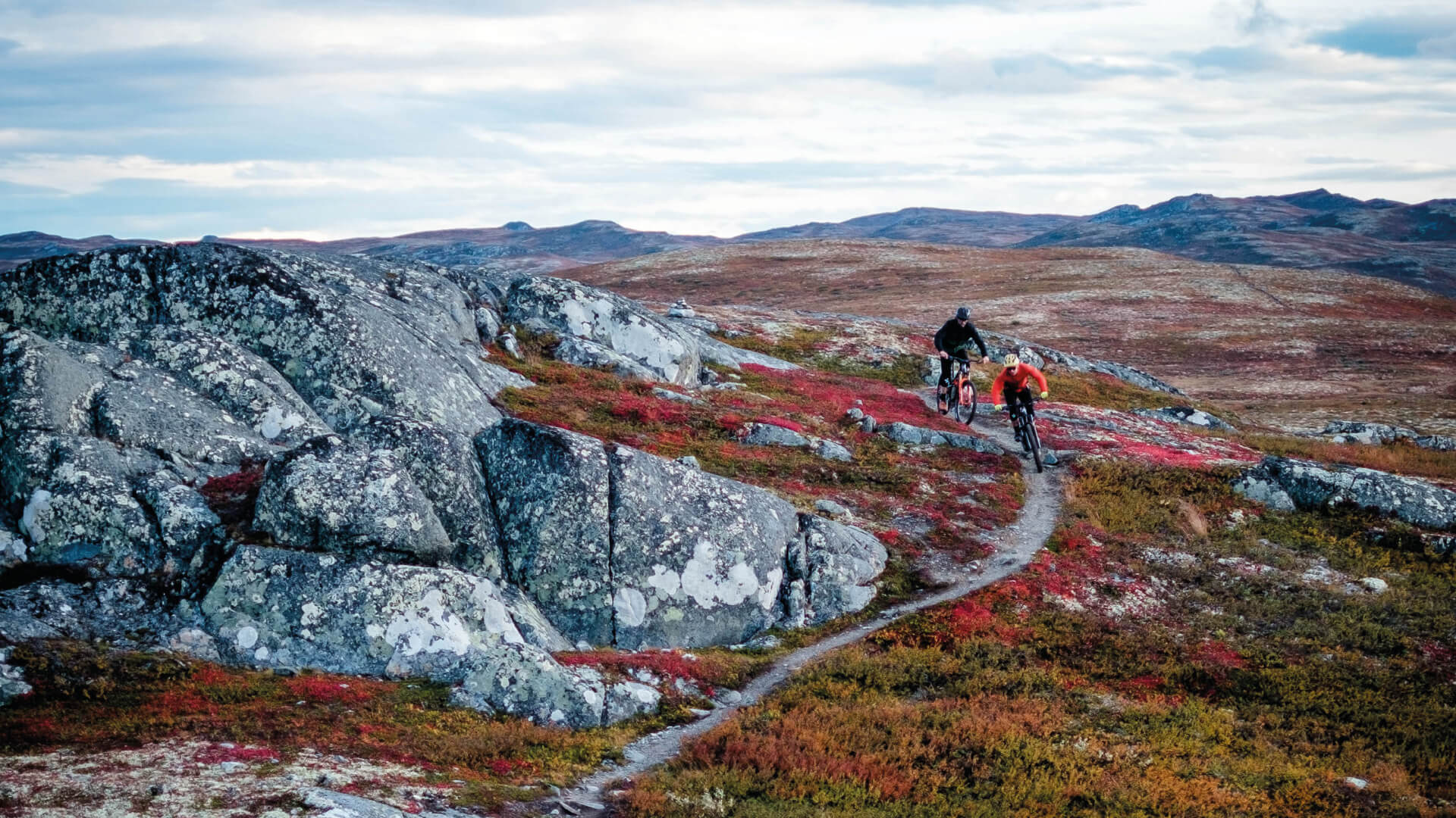 To menn som sykler på fjellet. Foto.